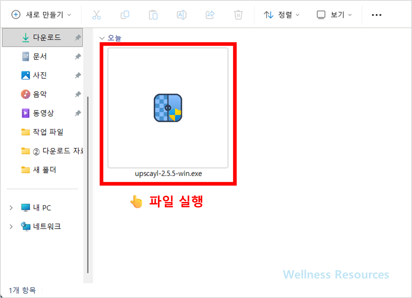 Upscayl
업스케일