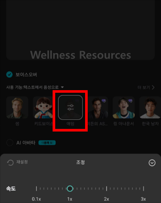 캡컷